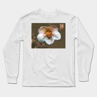 Helleborus on Vintage Postcard Long Sleeve T-Shirt